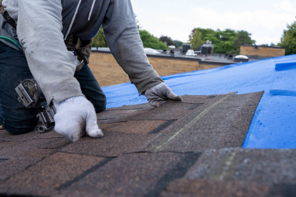 Best Commercial Roofing Services  in Alexandria, VA